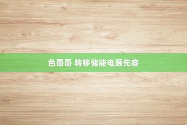 色哥哥 转移储能电源先容