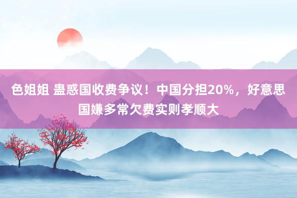 色姐姐 蛊惑国收费争议！中国分担20%，好意思国嫌多常欠费实则孝顺大