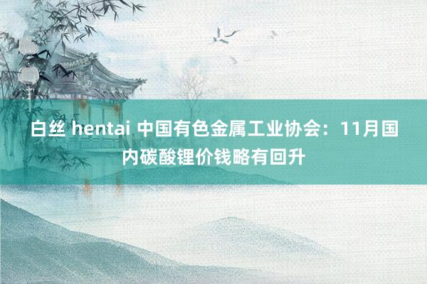 白丝 hentai 中国有色金属工业协会：11月国内碳酸锂价钱略有回升