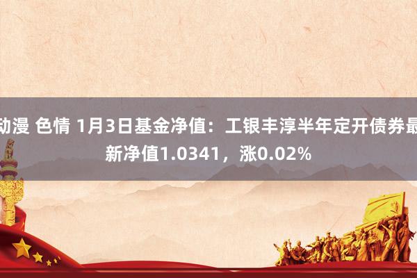 动漫 色情 1月3日基金净值：工银丰淳半年定开债券最新净值1.0341，涨0.02%