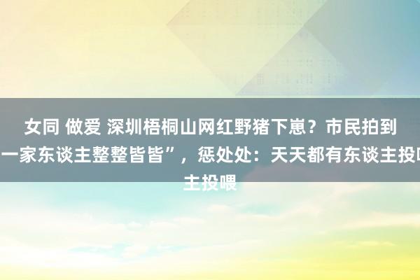 女同 做爱 深圳梧桐山网红野猪下崽？市民拍到“一家东谈主整整皆皆”，惩处处：天天都有东谈主投喂