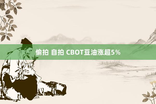 偷拍 自拍 CBOT豆油涨超5%