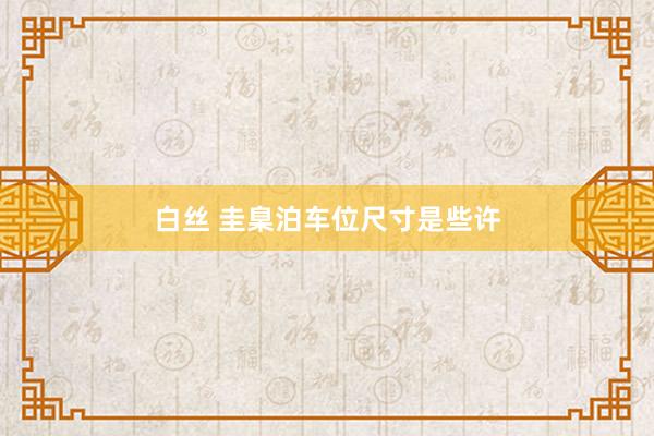 白丝 圭臬泊车位尺寸是些许