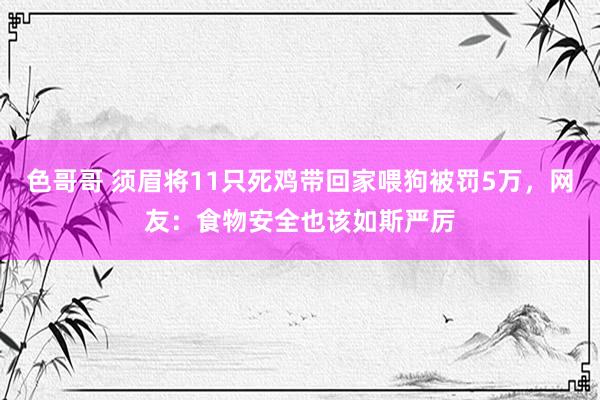 色哥哥 须眉将11只死鸡带回家喂狗被罚5万，网友：食物安全也该如斯严厉