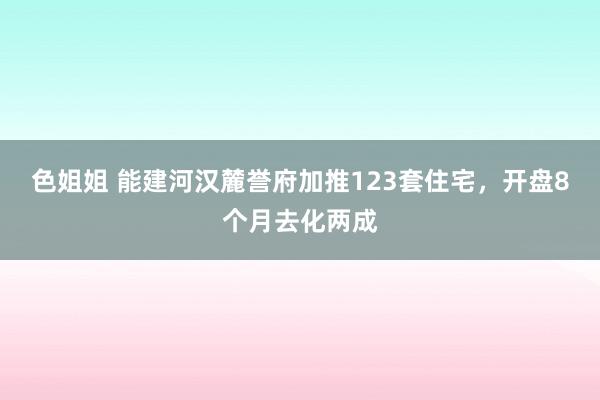 色姐姐 能建河汉麓誉府加推123套住宅，开盘8个月去化两成