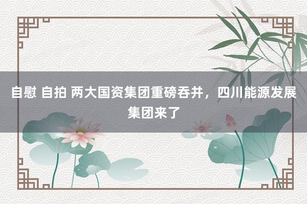 自慰 自拍 两大国资集团重磅吞并，四川能源发展集团来了