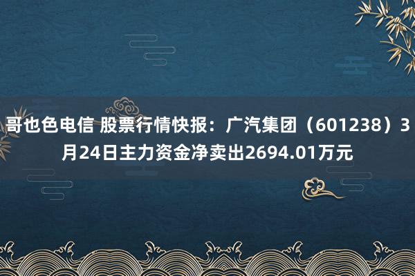 哥也色电信 股票行情快报：广汽集团（601238）3月24日主力资金净卖出2694.01万元