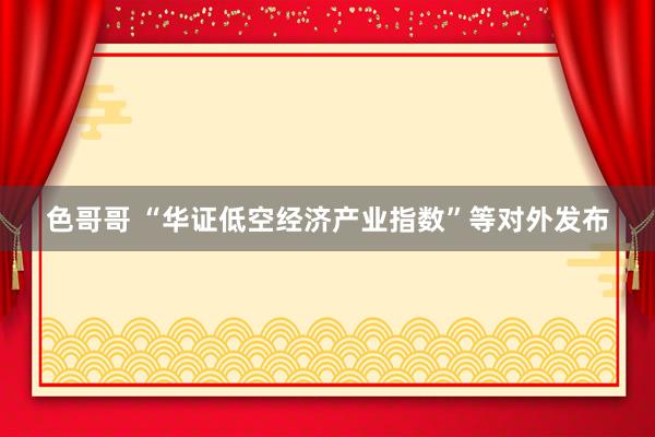 色哥哥 “华证低空经济产业指数”等对外发布