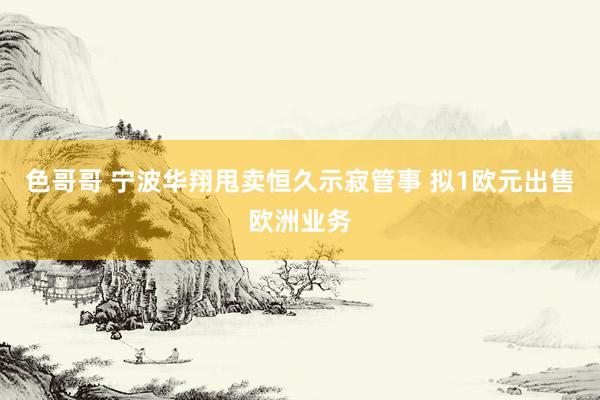 色哥哥 宁波华翔甩卖恒久示寂管事 拟1欧元出售欧洲业务