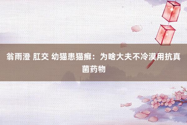 翁雨澄 肛交 幼猫患猫癣：为啥大夫不冷漠用抗真菌药物