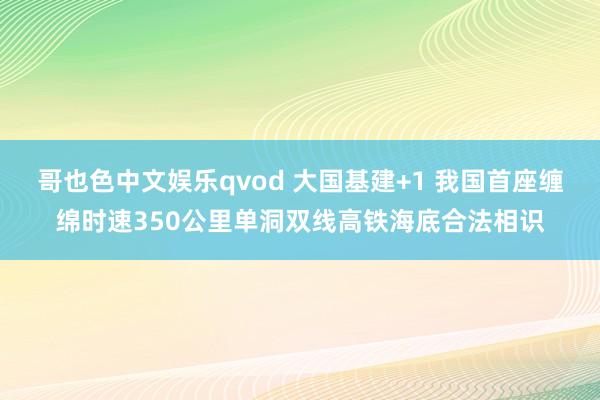 哥也色中文娱乐qvod 大国基建+1 我国首座缠绵时速350公里单洞双线高铁海底合法相识