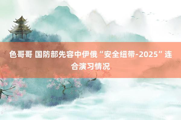 色哥哥 国防部先容中伊俄“安全纽带-2025”连合演习情况