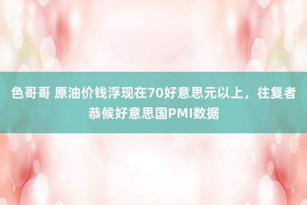 色哥哥 原油价钱浮现在70好意思元以上，往复者恭候好意思国PMI数据