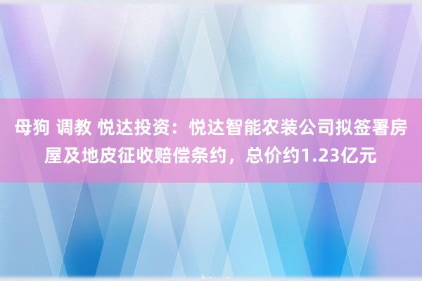 母狗 调教 悦达投资：悦达智能农装公司拟签署房屋及地皮征收赔偿条约，总价约1.23亿元