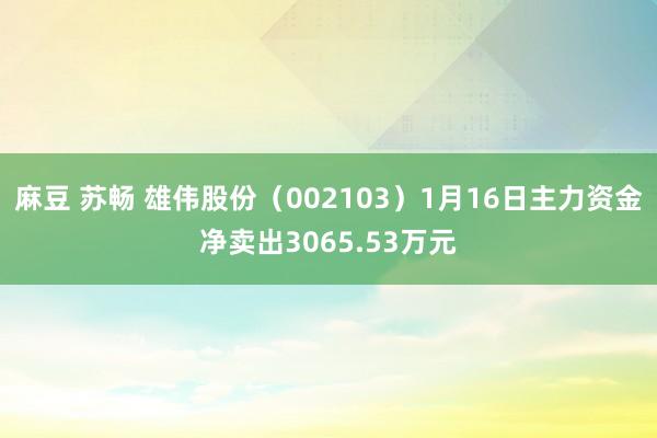 麻豆 苏畅 雄伟股份（002103）1月16日主力资金净卖出3065.53万元