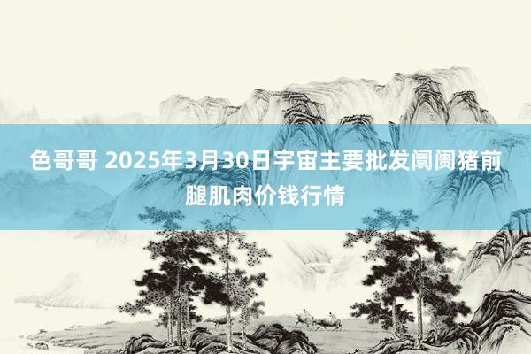 色哥哥 2025年3月30日宇宙主要批发阛阓猪前腿肌肉价钱行情