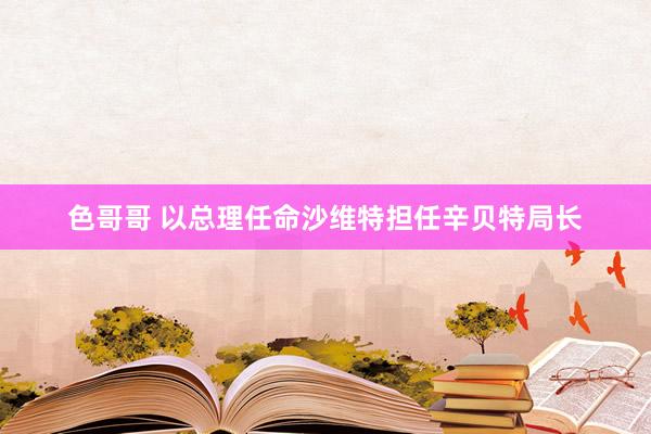 色哥哥 以总理任命沙维特担任辛贝特局长