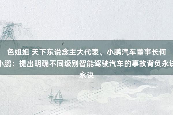色姐姐 天下东说念主大代表、小鹏汽车董事长何小鹏：提出明确不同级别智能驾驶汽车的事故背负永诀