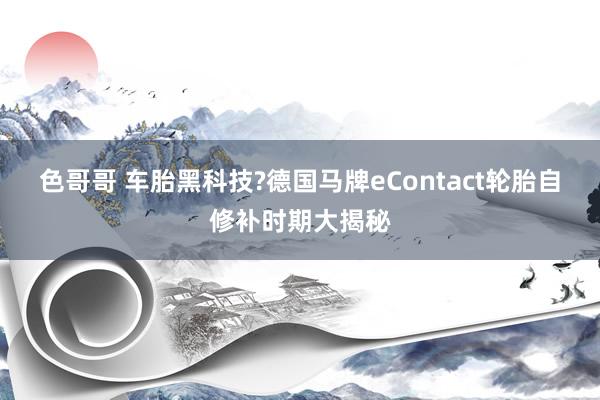 色哥哥 车胎黑科技?德国马牌eContact轮胎自修补时期大揭秘