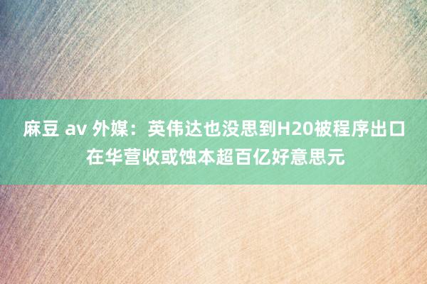 麻豆 av 外媒：英伟达也没思到H20被程序出口 在华营收或蚀本超百亿好意思元