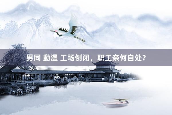 男同 動漫 工场倒闭，职工奈何自处？